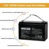 imageWEIZE 12V 100Ah Deep Cycle Battery Group Size 31 Battery for RV Solar Camping Cabin Marine and OffGrid System 1150A Max Discharge Current 3 SelfDischarge Rate