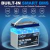 imageWEIZE 12V 100Ah Mini LiFePO4 Battery Builtin 100A Smart BMS Deep Cycle Lithium Iron Phosphate Battery Perfect for RV Solar Marine Trolling Motor Off Grid Applications Backup Sump PumpPack of 1