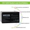 imageWEIZE 12V 9AH Battery Sealed Lead Acid Battery with F2 Terminals Rechargeable Replaces 12 Volt 8AH 10AH for Razor e200  e200s  e225  e300 APC UPS Computer Backup Power BX1300LCD 2 Pack12AH