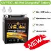 imageWeize YTZ7SBS Sealed Maintenance Free AGM Battery Replacement YTZ7S Compatible with Honda TRX450ER TRX450R ATV Motorcycle BattieresYTX7L