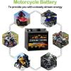 imageWeize YTX30LBS Battery Replacement Yuasa YIX30L Motorcycle Battery  Factory Sealed  Maintenance Free  High Performance ETX30L BS For Harley Davidson Polaris SportsmanYTX30L