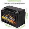 imageWeize YTX30LBS Battery Replacement Yuasa YIX30L Motorcycle Battery  Factory Sealed  Maintenance Free  High Performance ETX30L BS For Harley Davidson Polaris SportsmanYTX9