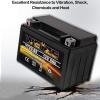 imageWeize YTX30LBS Battery Replacement Yuasa YIX30L Motorcycle Battery  Factory Sealed  Maintenance Free  High Performance ETX30L BS For Harley Davidson Polaris SportsmanYTX9