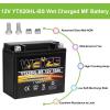 imageWeize YTX30LBS Battery Replacement Yuasa YIX30L Motorcycle Battery  Factory Sealed  Maintenance Free  High Performance ETX30L BS For Harley Davidson Polaris SportsmanYTX20HL