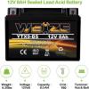 imageWeize YTX30LBS Battery Replacement Yuasa YIX30L Motorcycle Battery  Factory Sealed  Maintenance Free  High Performance ETX30L BS For Harley Davidson Polaris SportsmanYTX9